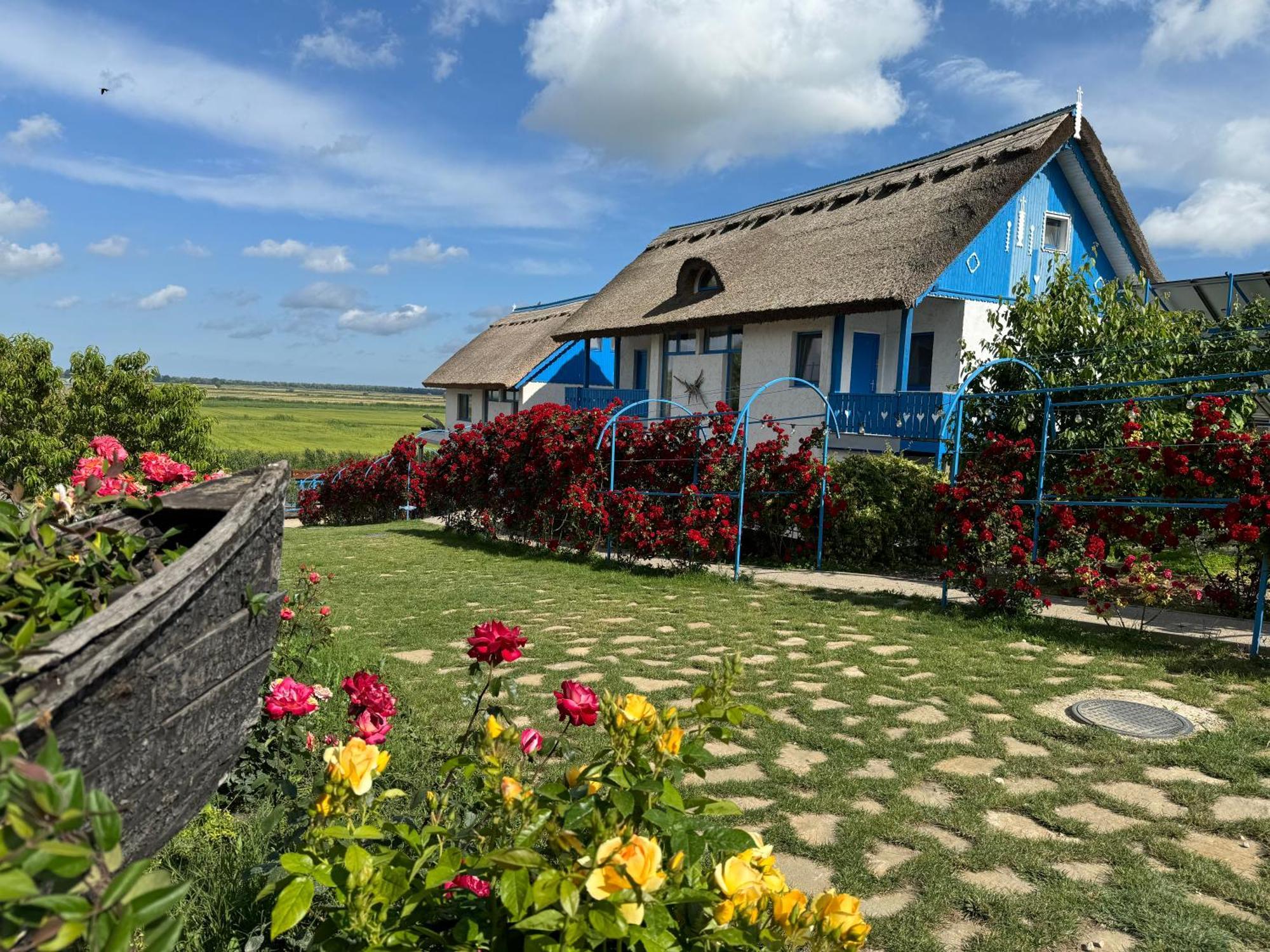 Nena Art Resort Dunavatu de Jos Exterior photo